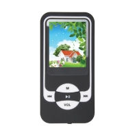 Portable Multimedia Players (PMP)