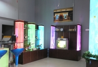 Water Show TV of Cabinet