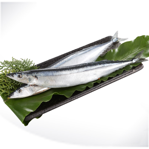 PACIFIC SAURY(SANMA)