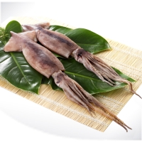 WHOLE SQUID
