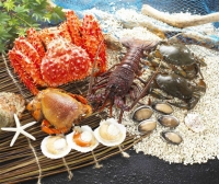 帝王蟹,花蟹,软壳蟹