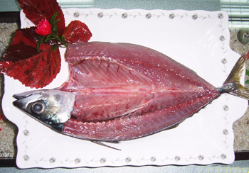 Salt fillet of mackerel pack