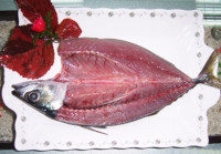 Salt fillet of mackerel pack