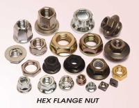 Hex Flange Nut