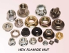 Hex Flange Nut