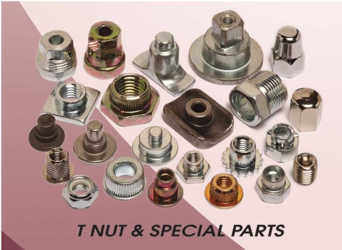 Special 
Nuts
Special 
Nuts
Special Nuts Special 
Nuts
Special 
Nuts
Special Nuts