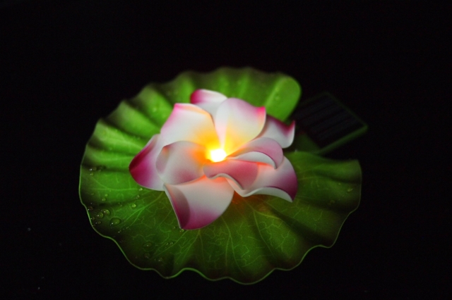 Solar Operated Flower Floating Light