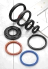 Oil Seals