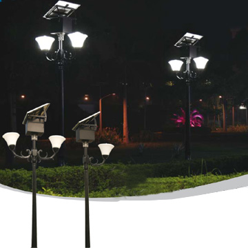 LED Garden Road Light