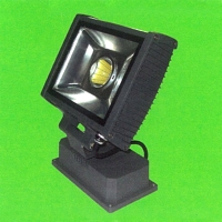 30W LED Spot Light