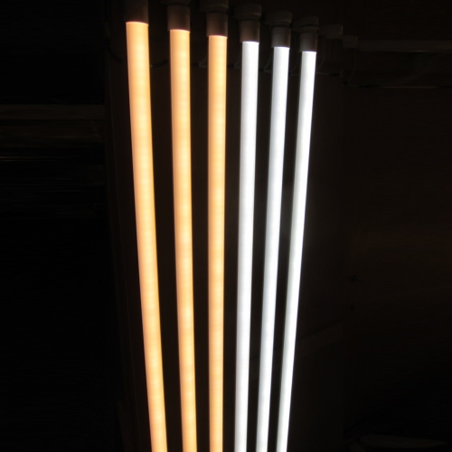 2, 4, 8 Foot Long T8 LED Tubes