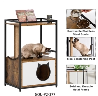 Cat Play Station
