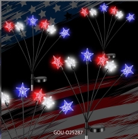 Solar Kiss Black Bear