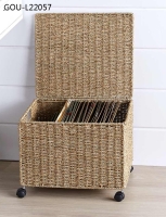 Seagrass Rolling File Organizer