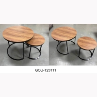 SET OF 2 COFFEE TABLE