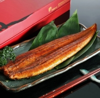 Eel