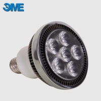 PAR30 Bulb PAR30 Bulb