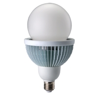 25W LED Light Bulb