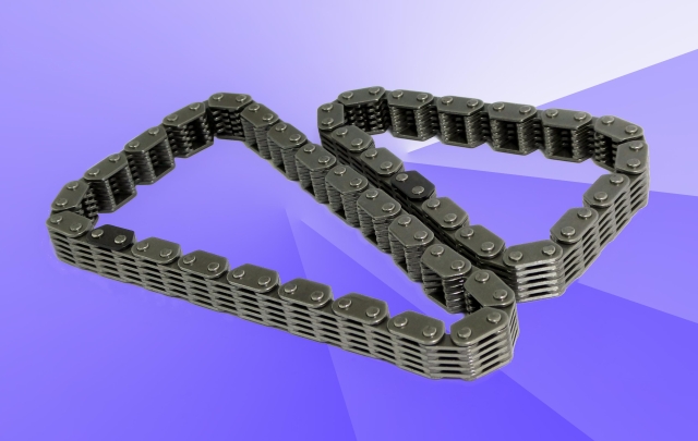 Heavy motorcycle chain