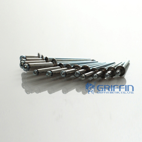Stainless Steel Rivets With Stainless Steel Mandrels Stainless Steel Rivets With Stainless Steel Mandrels