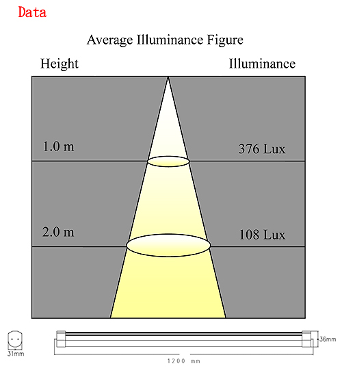 LED T8