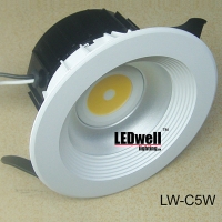 LED Down Light