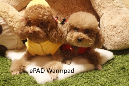 ePAD Warmpad ePAD Warmpad