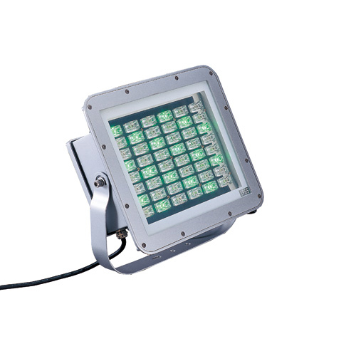 LED Floodlight