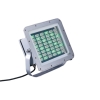 LED Floodlight