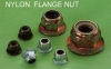 NYLON  FLANGE NUT