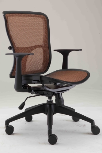 E Chair E Chair