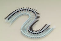 Collated Screw Collated Screw