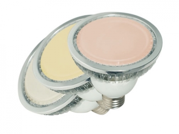 All-In-One Bulb/Lamp