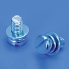 Screw & Washer Assembly (SEMS)