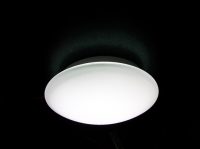 LED Ceiling Lamp 10 W