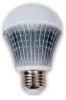 10W  A19 LED Lamp