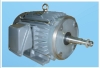 Water-pump Motor
