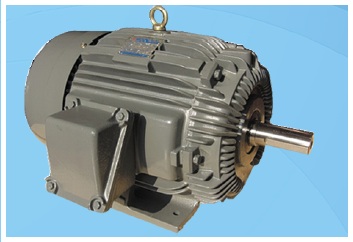 Explosion-proof Electric Motor