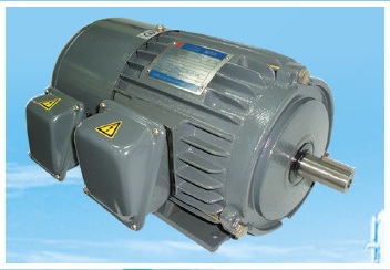 Inverter-duty Motor