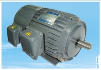 Inverter-duty Motor