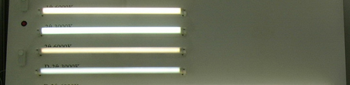 2 Foot TRIAC Dimmable LED Tube