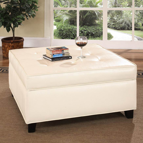 Fashion Ottoman with Storage Fashion Ottoman with Storage