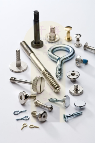 Screw Screw