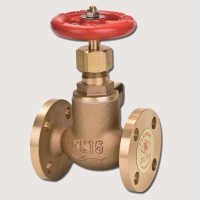Globe & Angle Valves for Marine Applications Globe & Angle Valves for Marine Applications