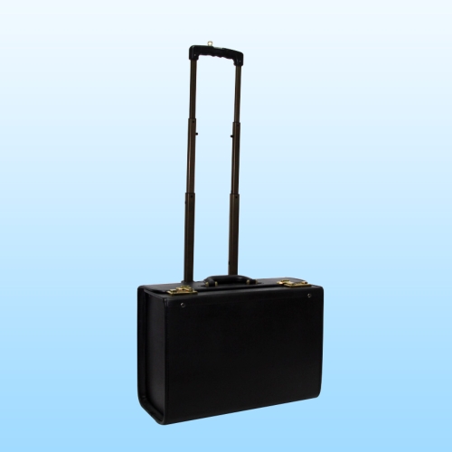 Pilot Case Pilot Case