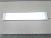 LED Ceiling Mount