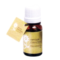 Wrinkle Firming Ampoules