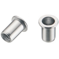 Flat Head Rivet Nut