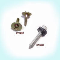 Self Tapping Screw