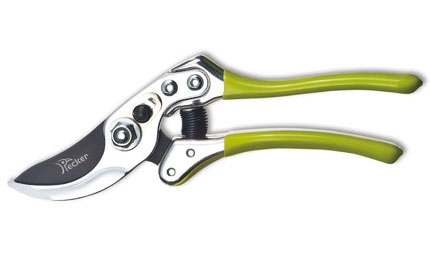 Pruning Shears